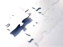 Custom web solutions with 360 PSG