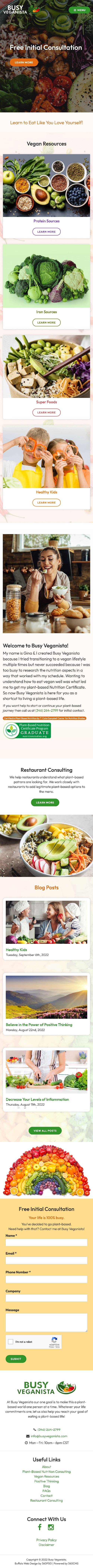 Busy Veganista Website - Mobile