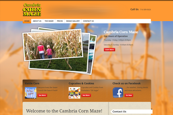 Cambria Corn Maze